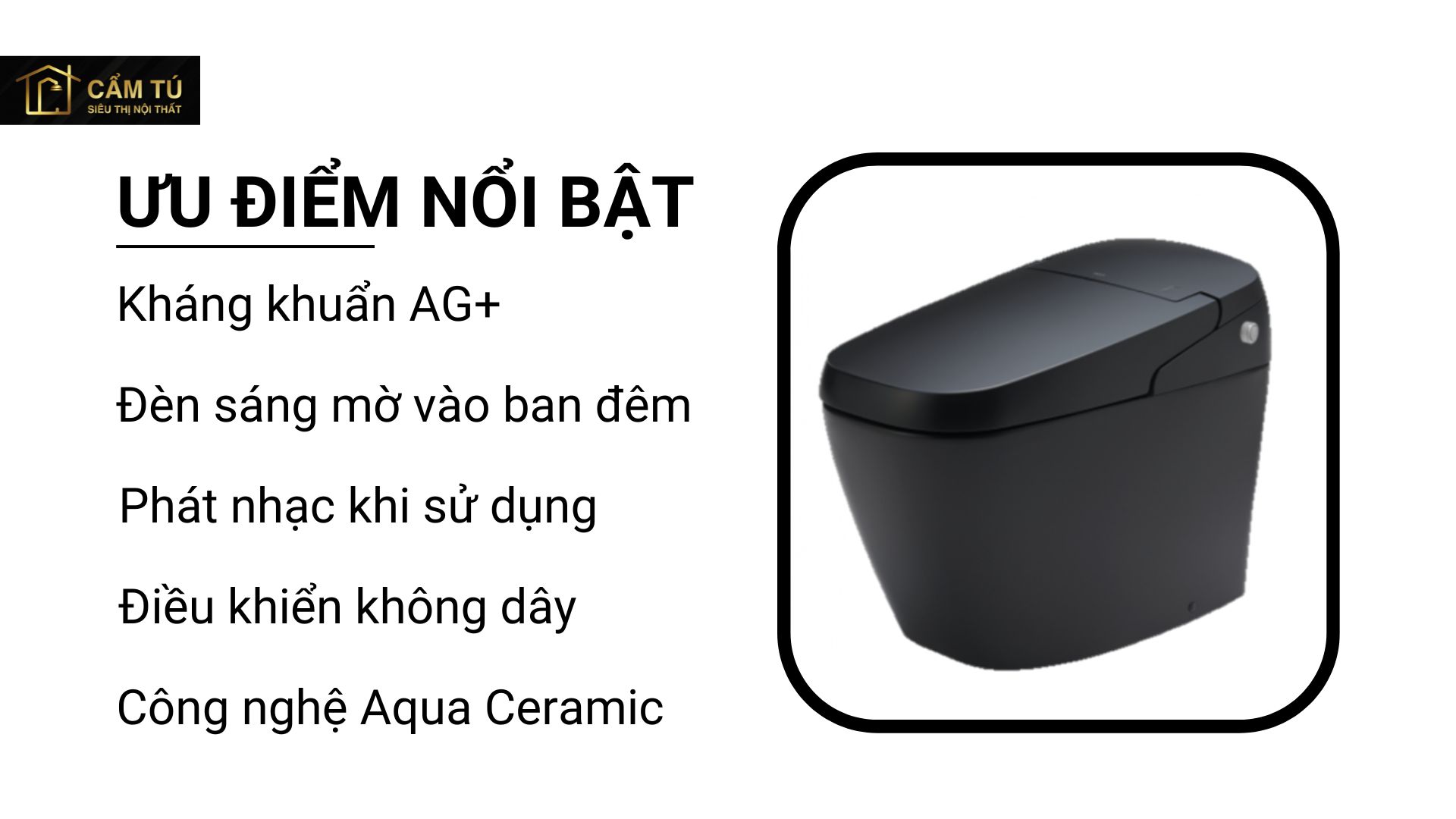 Bồn Cầu Thông Minh INAX AC-G216VN/BKG (ACG216VN) Satis Màu Đen