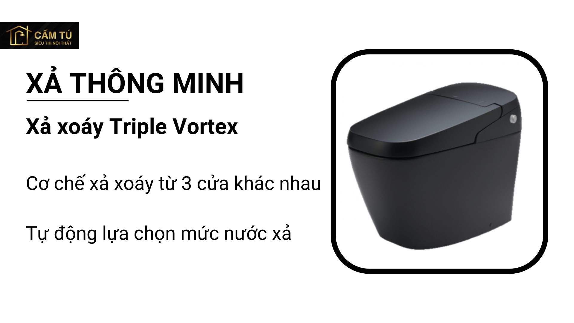Bồn Cầu Thông Minh INAX AC-G216VN/BKG (ACG216VN) Satis Màu Đen