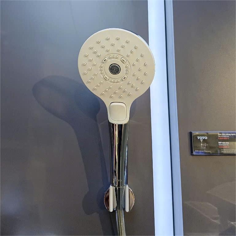 Vòi Sen Tắm TOTO TBG03302VA/TBW01010V Nóng Lạnh