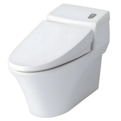 Bồn Cầu INAX AC-1008VRN (AC1008VRN) 1 Khối Aqua Ceramic Xả Nhấn