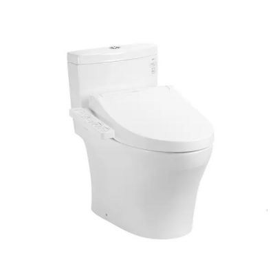 Bồn Cầu Điện Tử TOTO MS889CDRW17 Nắp Rửa Washlet TCF23460AAA C2 Giấu Dây