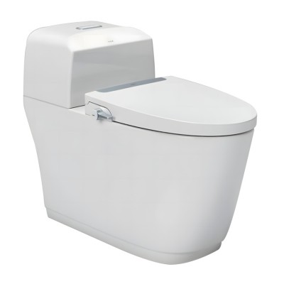 Bồn Cầu INAX AC-1032/CW-S32VN Nắp Rửa Cơ